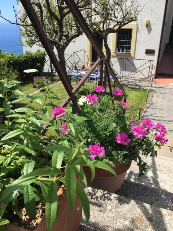 Villa L' Eco Dell' 800 Furore Dış mekan fotoğraf