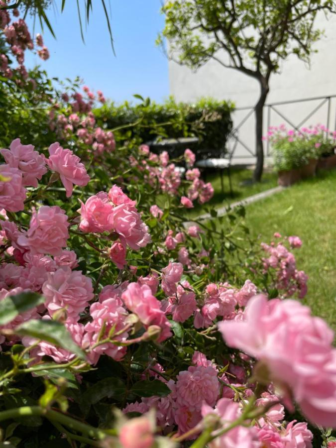 Villa L' Eco Dell' 800 Furore Dış mekan fotoğraf